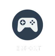 JOUEURS ESPORT